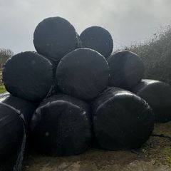 Haylage and Hay