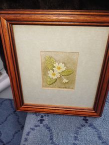 Small Julie Hockin Snowdrop Glass Framed Print