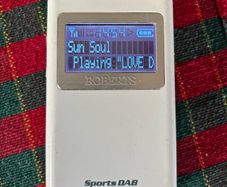 Roberts  Sports DAB 5