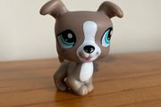 LPS Littlest Pet Shop Authentic Jack Russel Boxer n 1463
