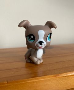 LPS Littlest Pet Shop Authentic Jack Russel Boxer n 1463