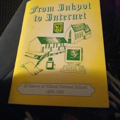 Irish interest