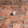 NEW SALE | Urban Red Brick Effect Wallpaper - Photographic Design - 3D Effect - Living Spaces & Feature Walls - Paste The Paper - Easy to Hang - 53 cm x 10.05 m Roll Image 4