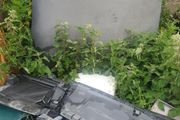 BMW 3 Series bonnet
