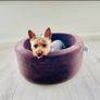 Dog bed Image 8