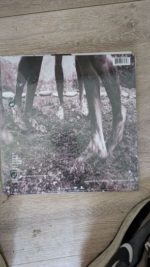 Pearl Jam - Vs Vinyl