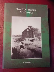 My Countryside / My Cradle/ Paddy Tighe/ 2010