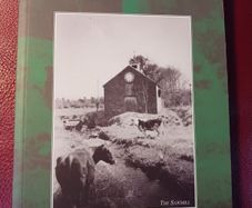 My Countryside / My Cradle/ Paddy Tighe/ 2010
