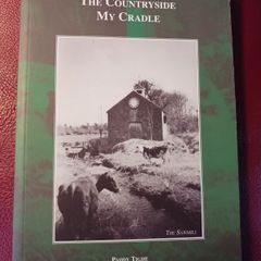 My Countryside / My Cradle/ Paddy Tighe/ 2010
