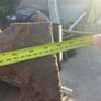 cattle grid Image 2