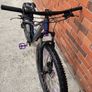 Trek Marlin 5 Image 6