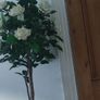 artificial plant Image 2