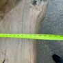 Old maybe pitch pine bench Image 5