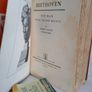 Beethoven: The Man Who Freed Music by Robert Haven Schauffler (GT92) Image 2