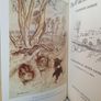 The Wind in the Willows by Kenneth Grahame. Illustrated by Arthur Rackham (PT170) Image 3