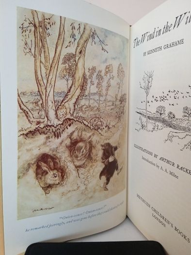 The Wind in the Willows by Kenneth Grahame. Illustrated by Arthur Rackham (PT170)