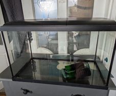 60L fish tank