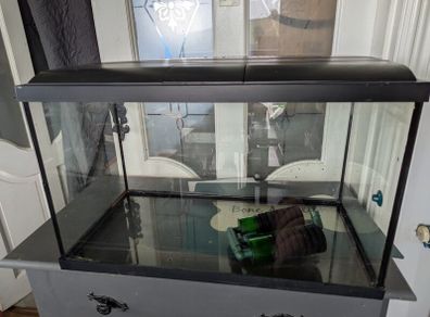 60L fish tank