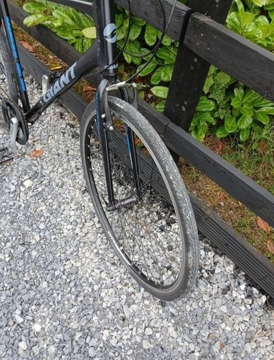 Bike hybrid (with rack)