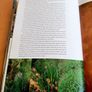 Grasses and bamboos (book) Image 6