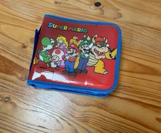 Nintendo DS case