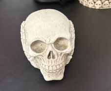 skull decor