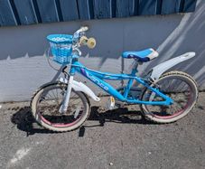 kids 18 inch bike