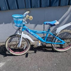 kids 18 inch bike