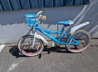 kids 18 inch bike