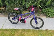 Carrera Cosmos 16"