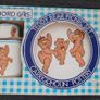 Rare Bord Gais Teddy Bear picnic set - Carrigdhoun Pottery Image 8