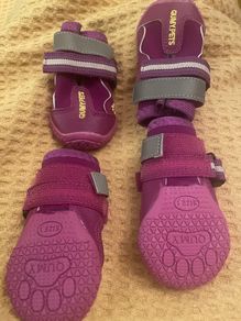New Qumy Dog Shoes /Boots
