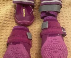 New Qumy Dog Shoes /Boots