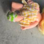 Lem Twin Strawberry Shortcake Doll AGC Kenner 1979 Vintage same Era as MLP G1 My Little Image 5