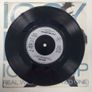 Iggy Pop Real Wild Child Wild One Image 4