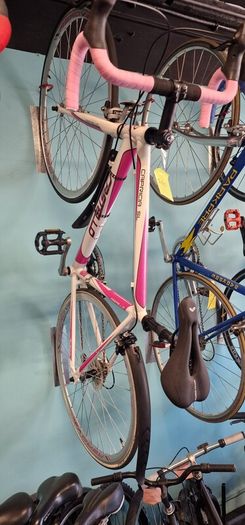 adult bikes