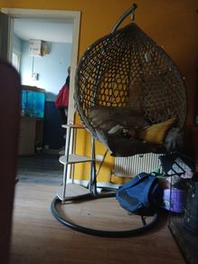 free shelf