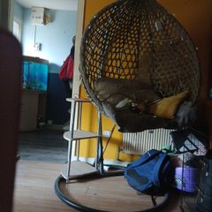 free shelf