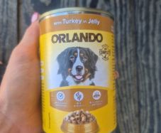 Dog food  25 Tins per box