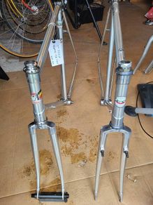Alan Competition and CX Frames