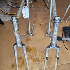 Alan Competition and CX Frames