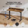 Electric Adjustable Height Desk with 2 Drawers, 120 x 60 cm, Stable Sit-Stand Desk Image 7