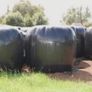 120 Round bales of Silage Image 3