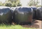120 Round bales of Silage