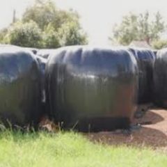 120 Round bales of Silage
