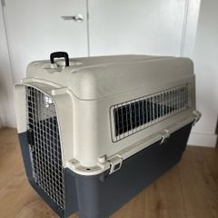 pet