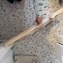 wooden stand Image 5