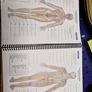 Trail Guide to the Body Workbook Image 2