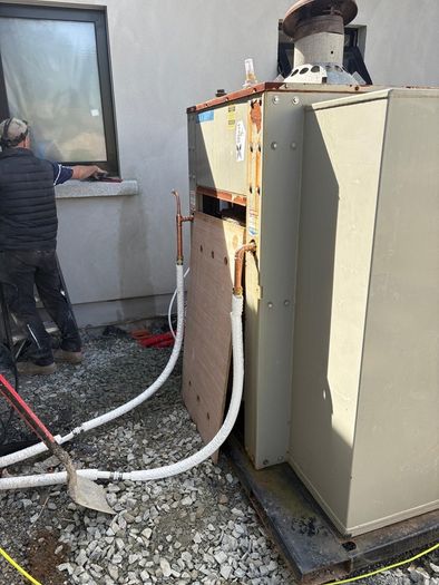 Boiler for hire