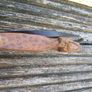 Nice trbal fly swat Image 2
